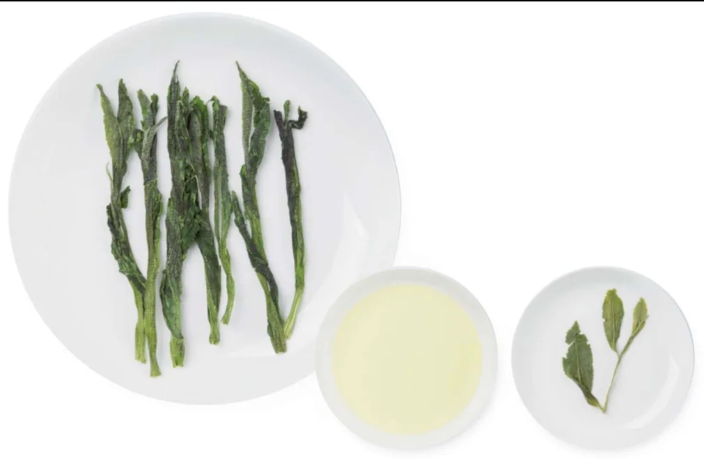 Reference view of long Taiping Houkui dry leaves, pale tea liquor and opened wet leaves.